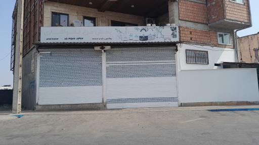 عکس پخش مرغ زربال نانواکناری