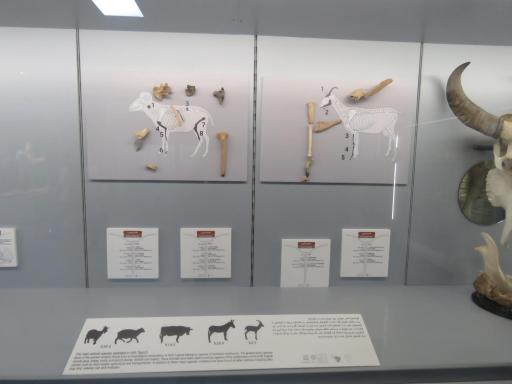 عکس موزه آثار تاریخی چغازنبیل و هفت تپه