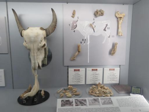 عکس موزه آثار تاریخی چغازنبیل و هفت تپه