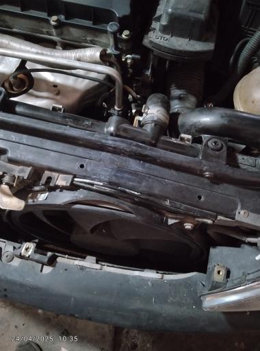 عکس صافکاری نخست