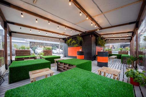 عکس ساندویچ سرد چیزی 