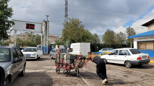 عکس میدان میوه و تره بار آزادی