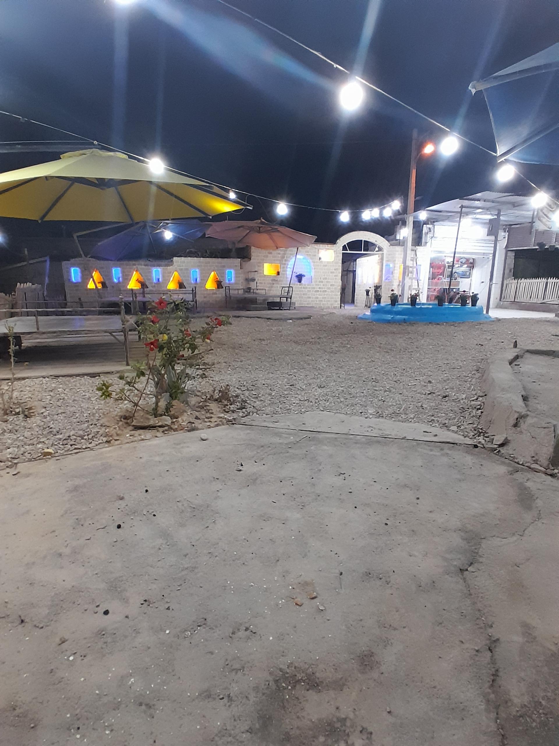 عکس رستوران الف 