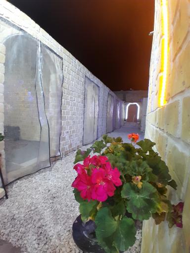 عکس رستوران الف 