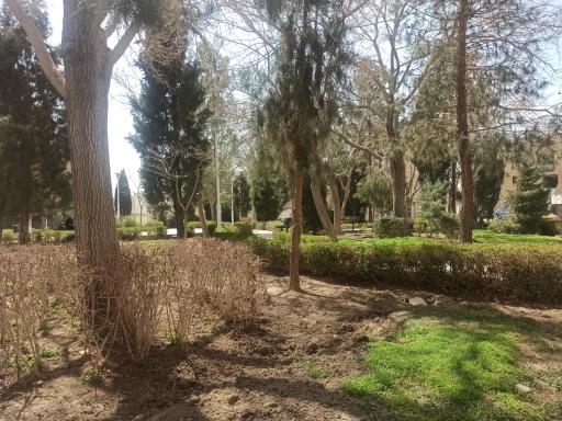 عکس پارک باران ( محله ی بوزان)