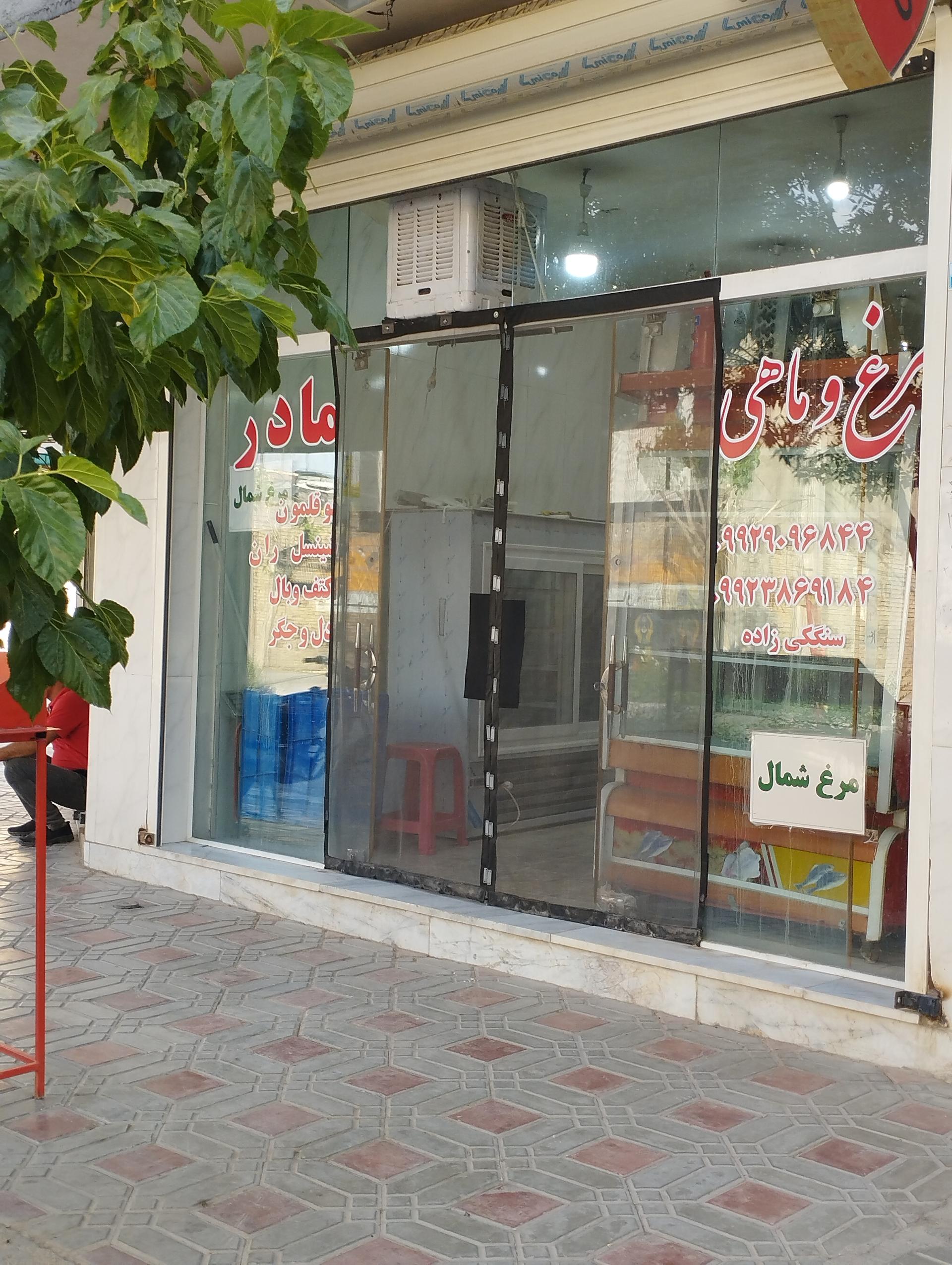 عکس مرغ و ماهی مادر