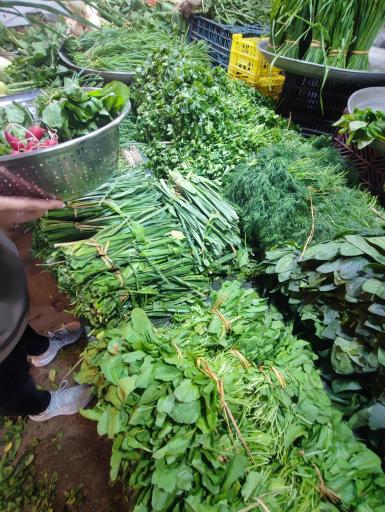 عکس میدان میوه و تره بار آزادی