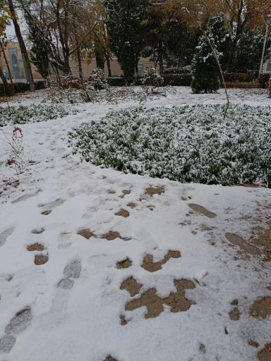 عکس پارک باران ( محله ی بوزان)