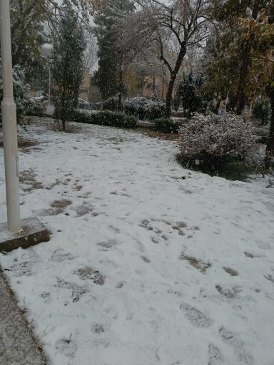 عکس پارک باران ( محله ی بوزان)