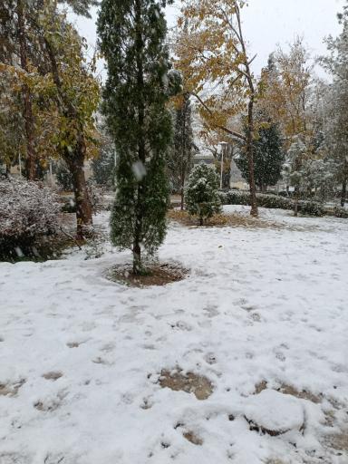 عکس پارک باران ( محله ی بوزان)