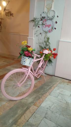 عکس کافه حس خوب