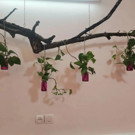 عکس کافه حس خوب