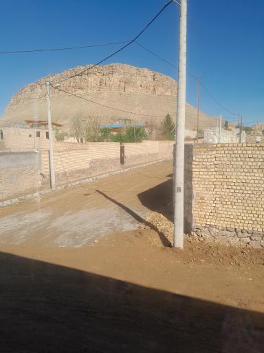 عکس بوستان زیتون