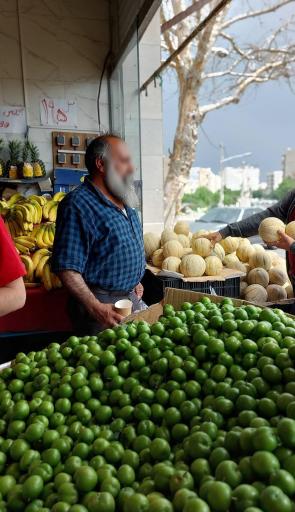 تعاونی میوه درویش