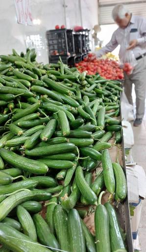 عکس تعاونی میوه درویش