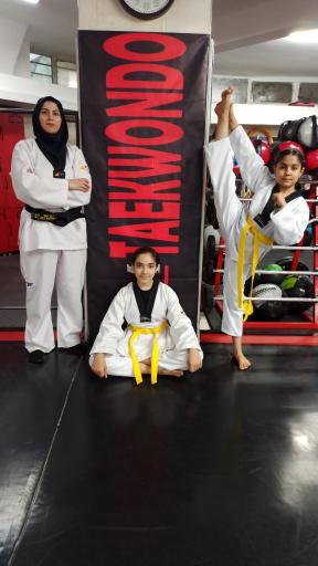 باشگاه رزمی نیرومند