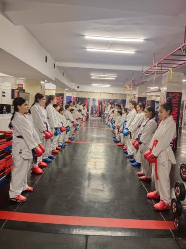 باشگاه رزمی نیرومند