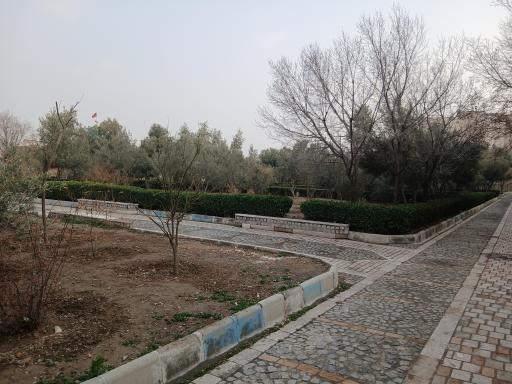 عکس بوستان زیتون