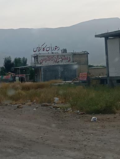 عکس رستوران و بیرون بر کاکتوس 