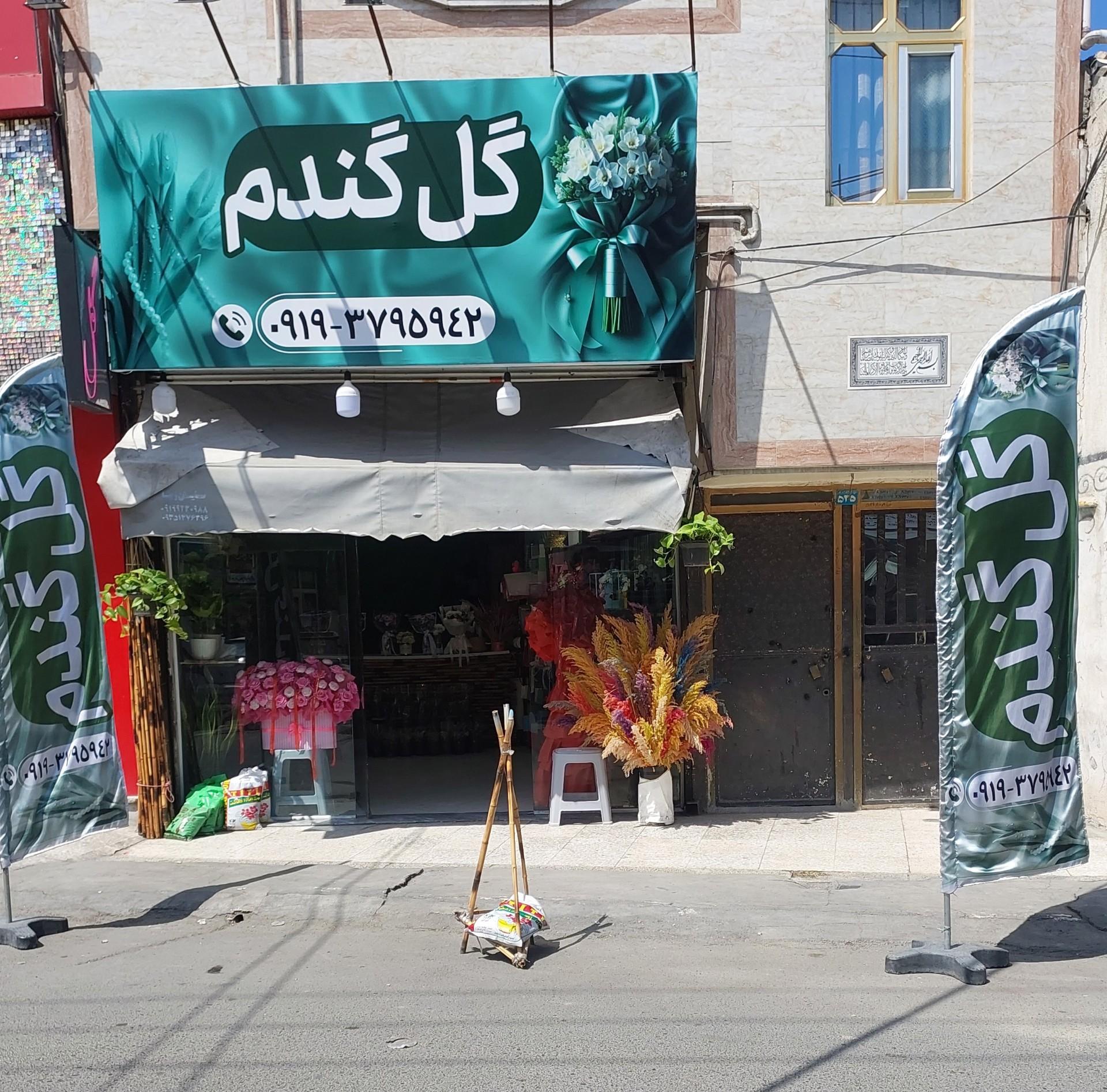 عکس گل گندم