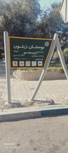 عکس بوستان زیتون