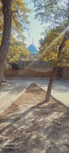 عکس بوستان زیتون