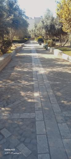 عکس بوستان زیتون