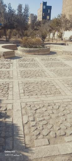 عکس بوستان زیتون