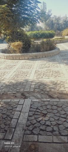 عکس بوستان زیتون
