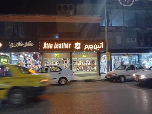 عکس گل فلوریا