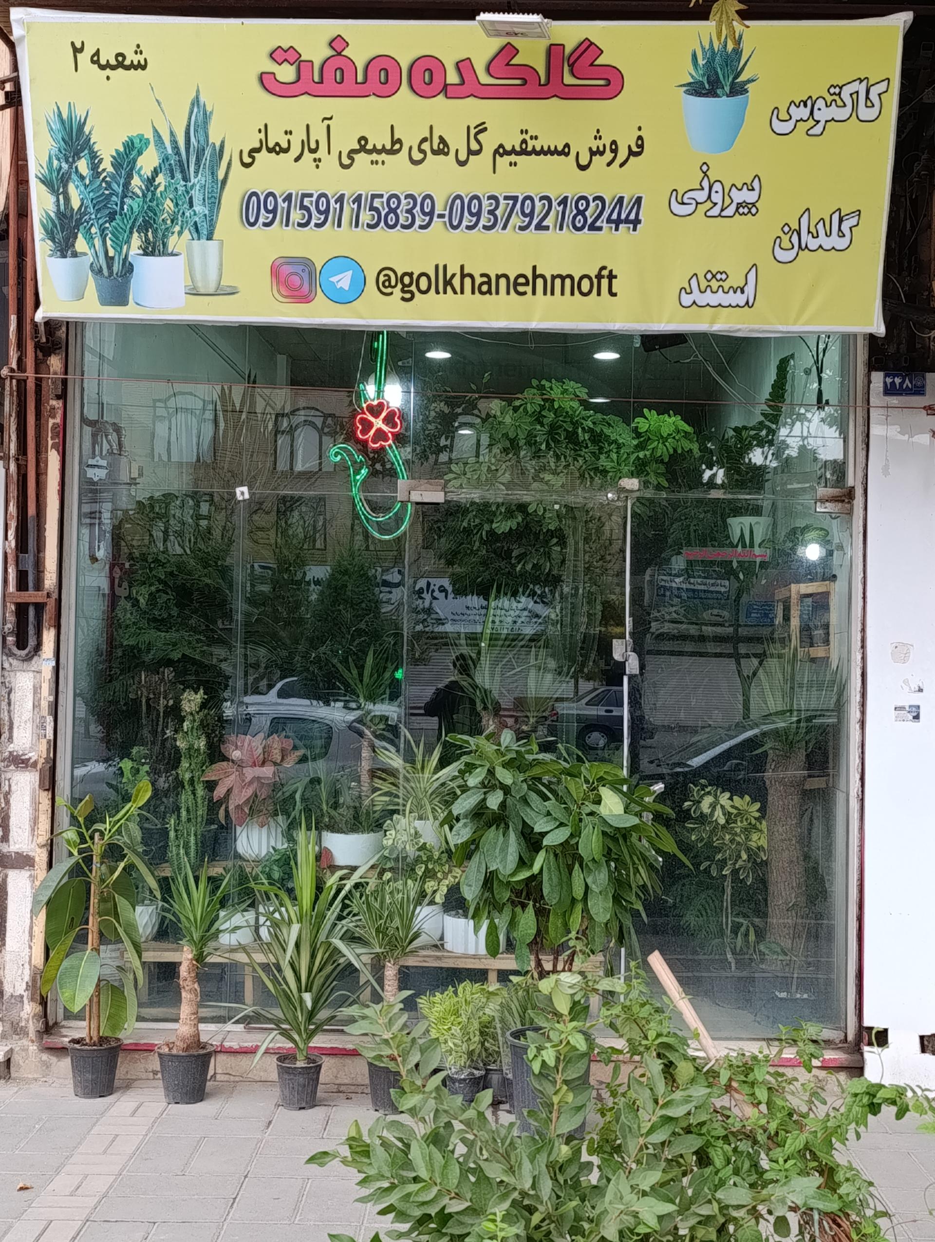 عکس گلکده مفت