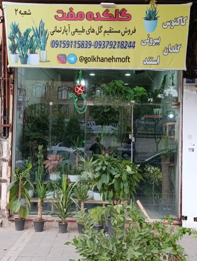 عکس گلکده مفت