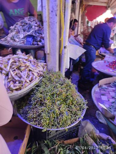 عکس بازارچه میوه و سبزی جات دروازه کازرون 