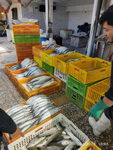 عکس بازارچه میوه و سبزی جات دروازه کازرون 