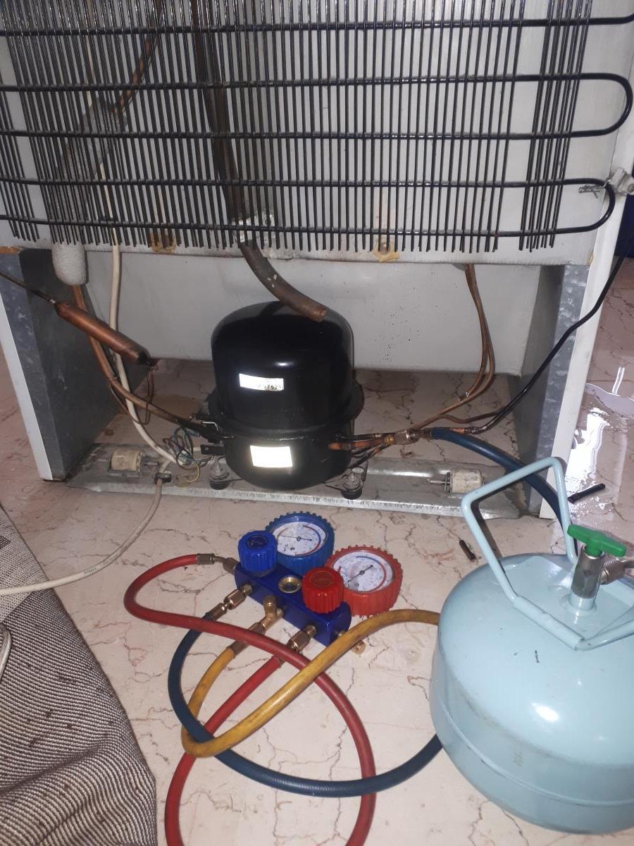 عکس آنی سرویس