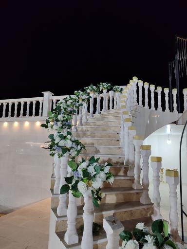 عکس عمارت آرتمیس