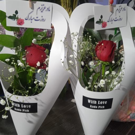 عکس گلکده بونسای 