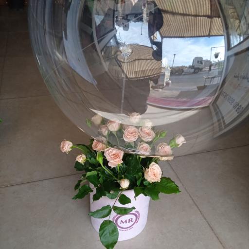 عکس گلکده بونسای 