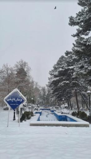 عکس بوستان باغ ملی