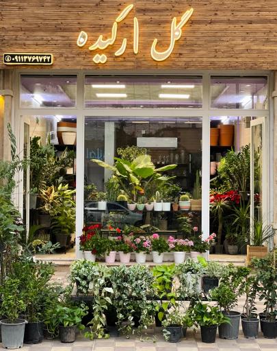 عکس گل فروشی ارکیده