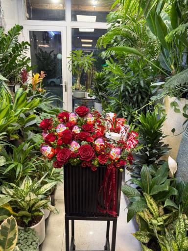 عکس گل فروشی ارکیده