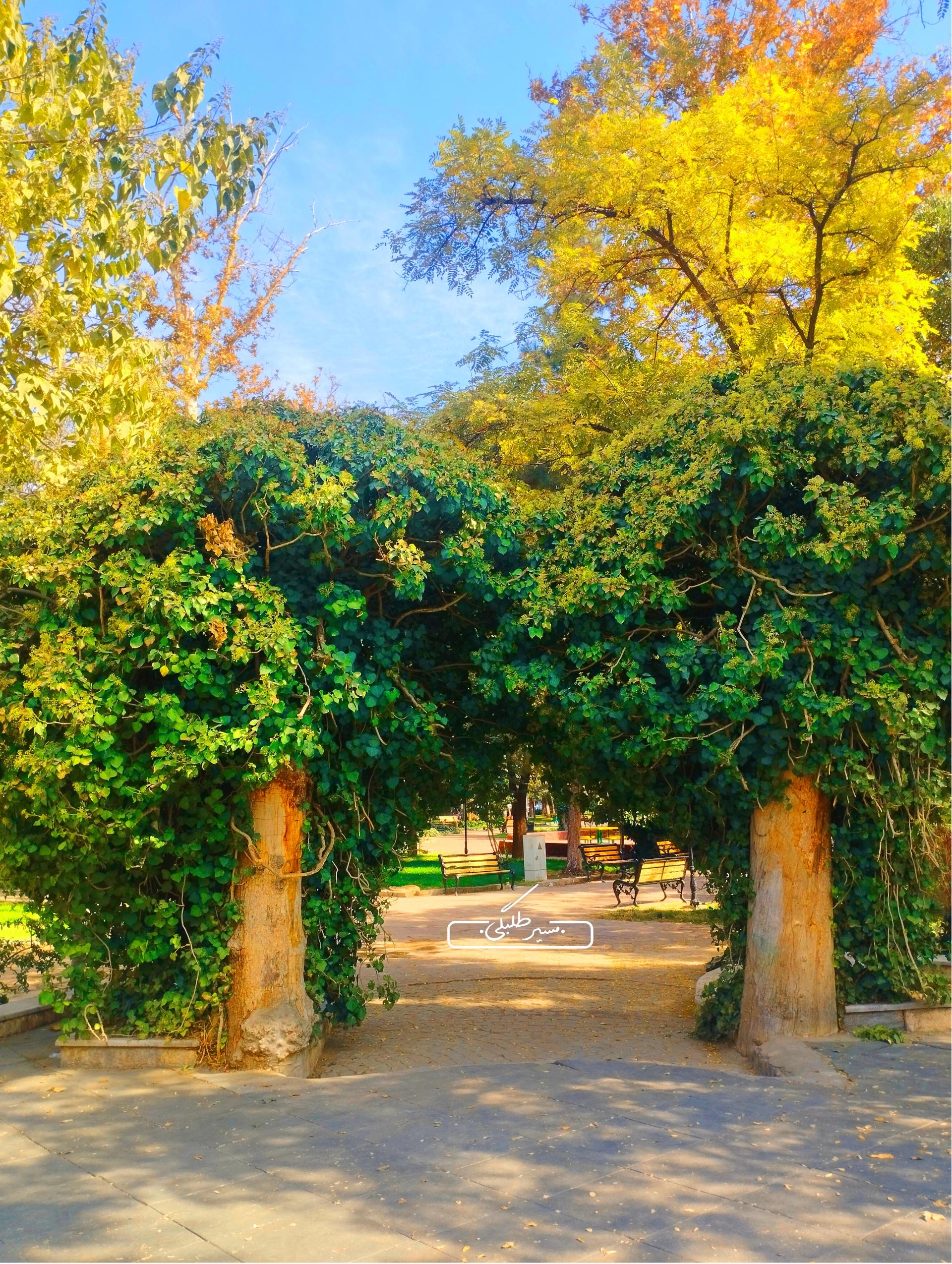 عکس بوستان باغ ملی