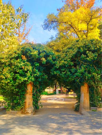 عکس بوستان باغ ملی