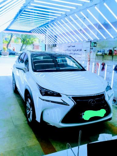عکس تشخیص رنگ کارشناسی خودرو حسن جدی