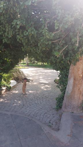 عکس بوستان باغ ملی