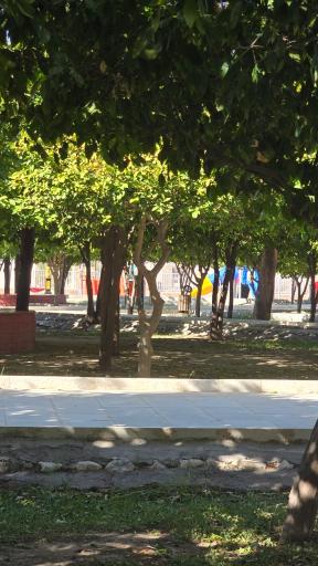 عکس پارک ملی جیرفت