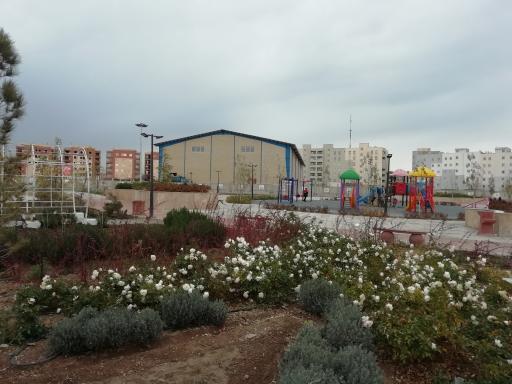 عکس پارک سعدی (فانوس)