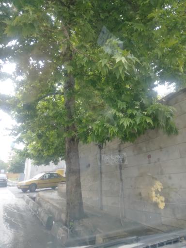 عکس سرویس بهداشتی بوستان امام علی