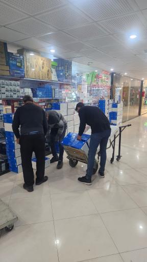 عکس الکتروفورس