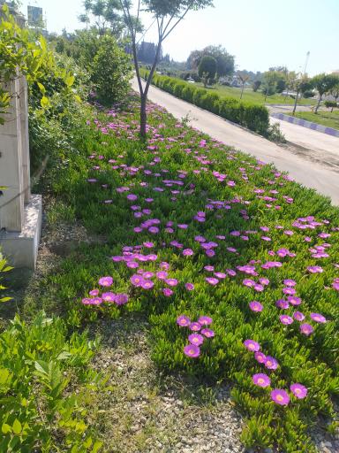 عکس میدان بسیج